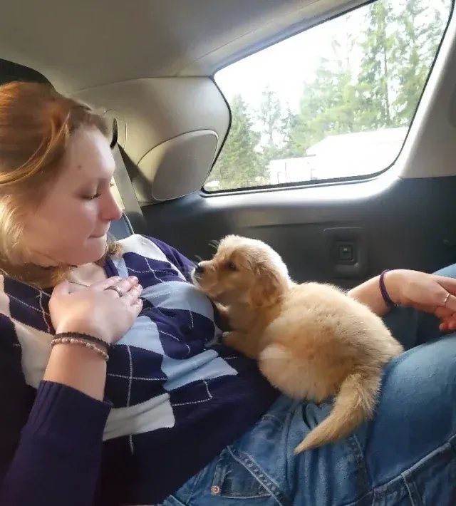 Acres Pet Resort